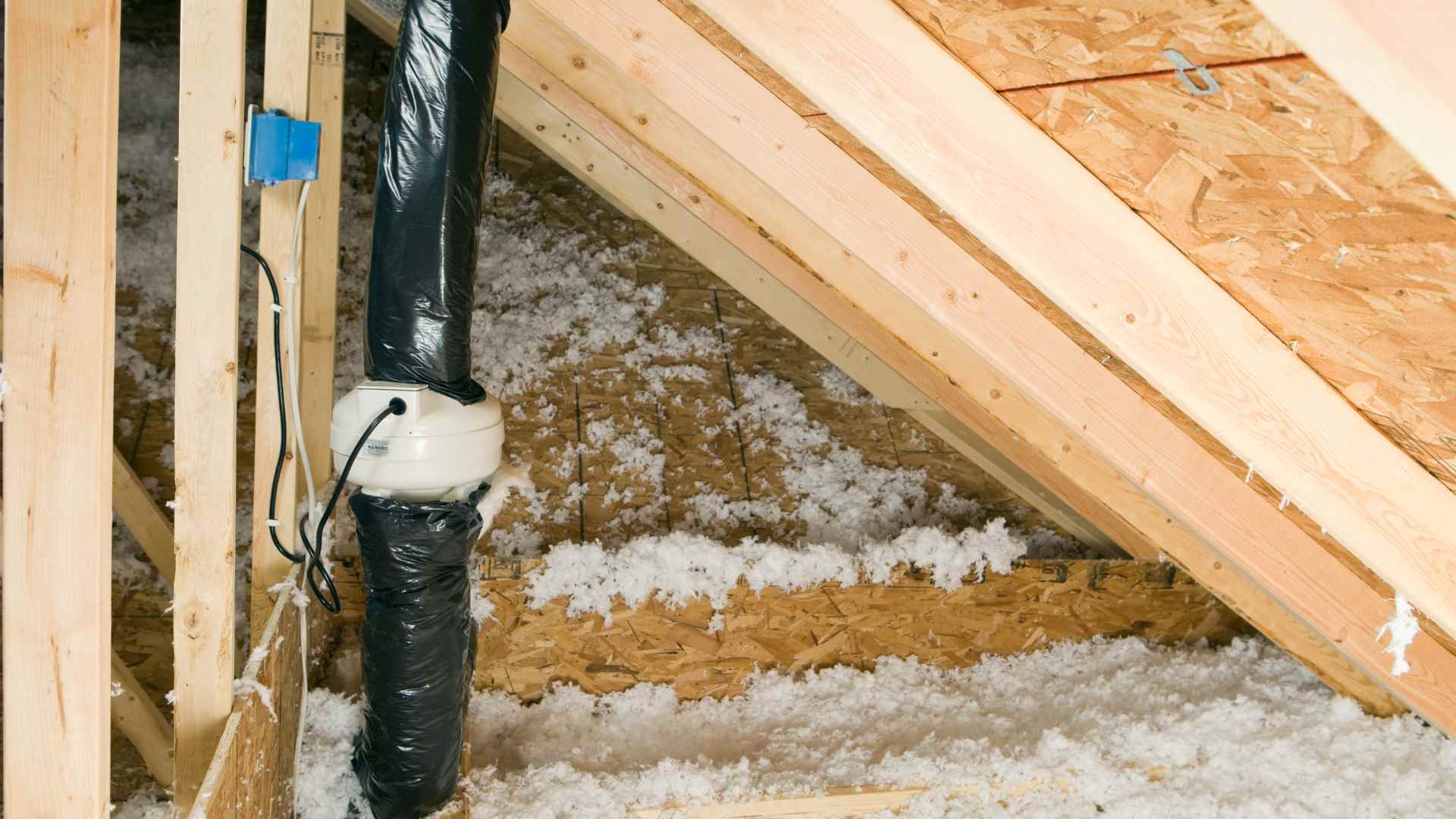 radon test services South Vienna OH